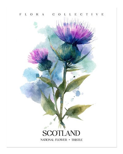 Schottische distel wandkunst - schottische,