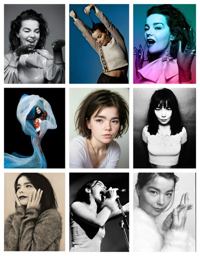 Bjork poster viele größen - bjork,