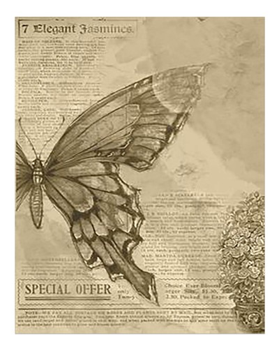 Vintage schmetterling und - schmetterling,