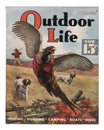 Vintage outdoor life - vintage,