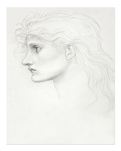 Klassisches profil porträt - klassisches,