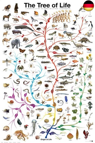 Poster educational tree of - -,