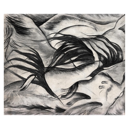 Monochromes surrealismus - monochromes,