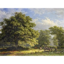 Roth Blick Wald Bentheim