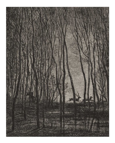 Van gogh waldszene wandkunst - van,