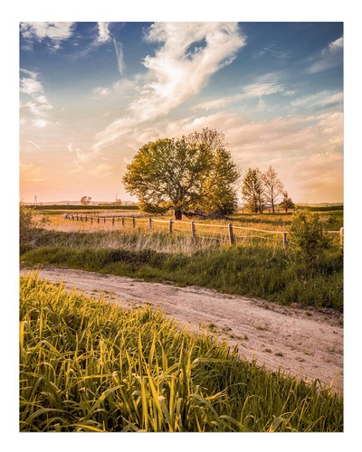 Ruhige landschaft auf dem - dem, land